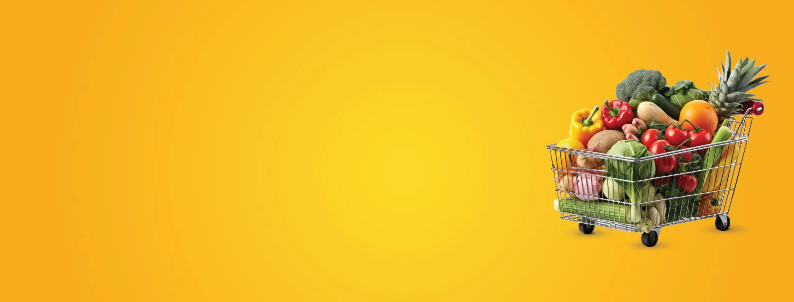 sog-banner